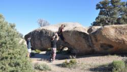 The Druid Stones
