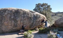 The Druid Stones