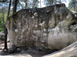 Fontainebleau - Les Trois Pignons (La Roche aux Sabots)