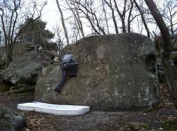 Anthonin  / Fontainebleau (La Ferté-Alais)