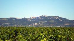 Les Dentelles de Montmirail (Chaîne de Gigondas)