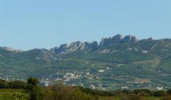 Les Dentelles de Montmirail (Chaîne de Gigondas)