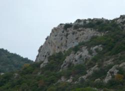 Termes