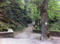 Roche Corbière