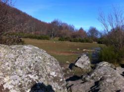 Esplanade. La petite falaise est au bout, les blocs dans la colline derrière. / Yzeron