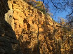 Curis-au-Mont-d'or