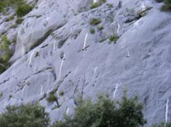 La Combe Obscure