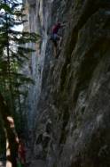  7a  / Fessourier